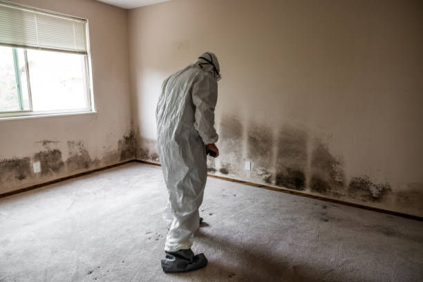 Best Industrial Mold Remediation in Casa Blanca, AZ